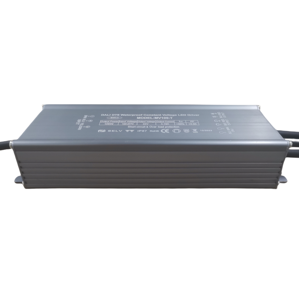 100W 24V